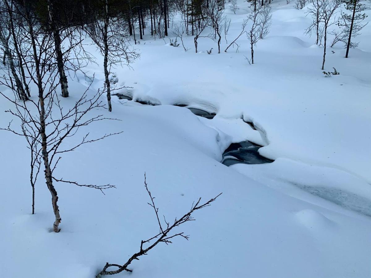 Saariselaellae, Sielukas Hirsimoekki - Unique