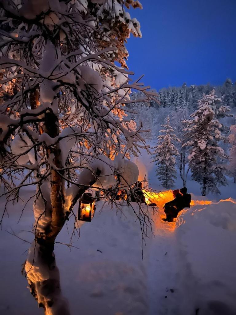 Шале Saariselaellae, Sielukas Hirsimoekki - Unique Саариселькя
