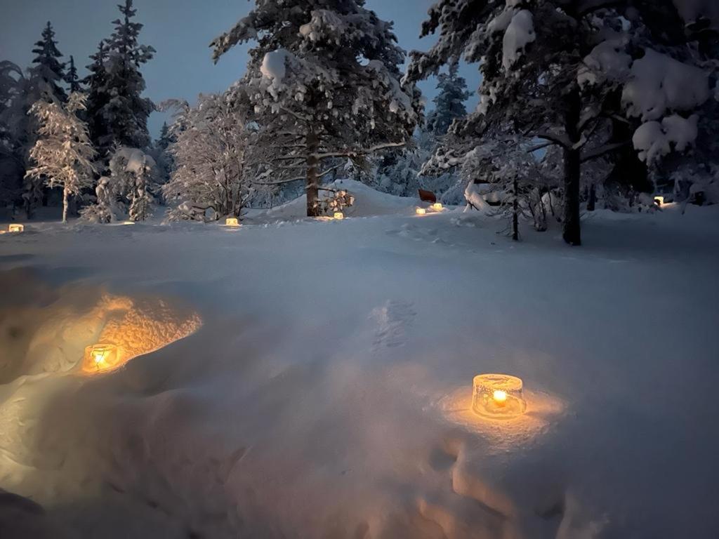 Saariselaellae, Sielukas Hirsimoekki - Unique