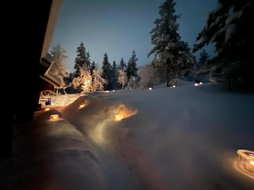 Saariselaellae, Sielukas Hirsimoekki - Unique Saariselka