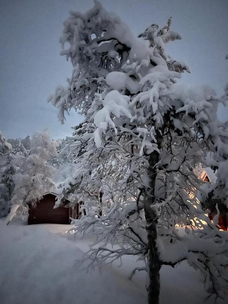 Saariselaellae, Sielukas Hirsimoekki - Unique Chalet