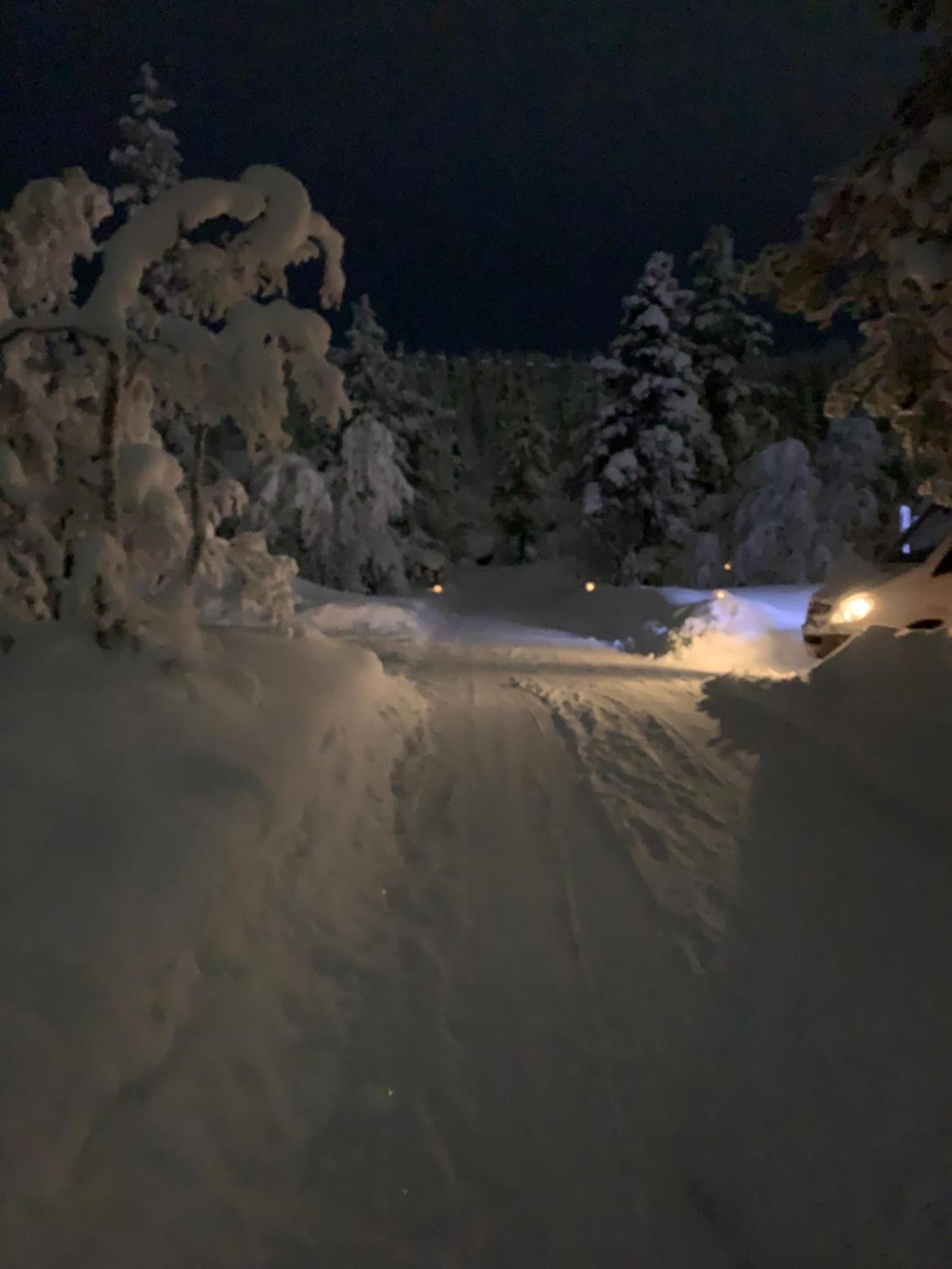 Saariselaellae, Sielukas Hirsimoekki - Unique *